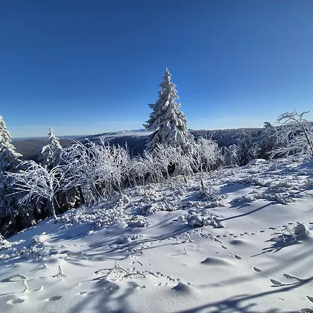 Turkusowy Izerskie Góry Apartament *