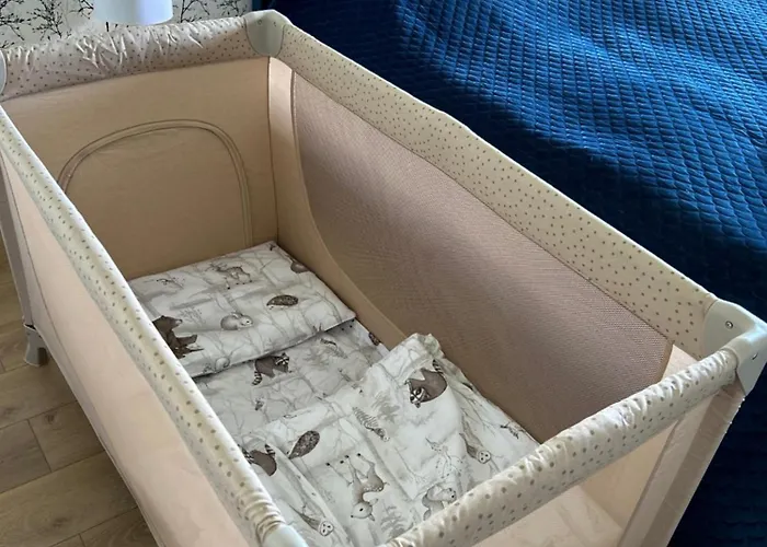 Turkusowy Izerskie Gory Apartment Swieradow-Zdroj