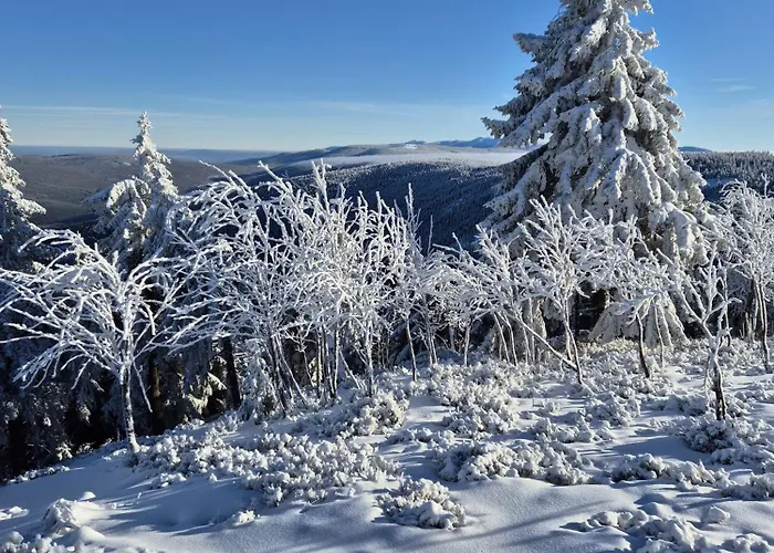 Turkusowy Izerskie Gory Apartment